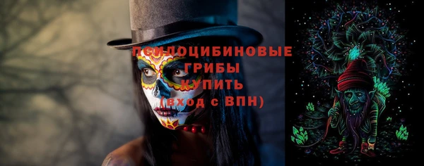 бошки Медногорск