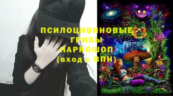 бошки Медногорск
