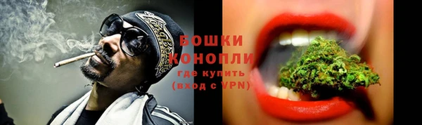 бошки Медногорск