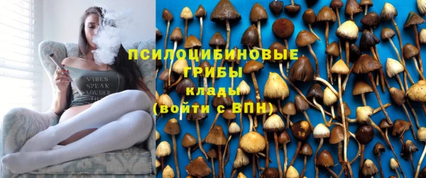 бошки Медвежьегорск