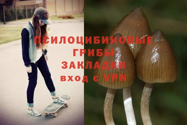 МДМА Мегион