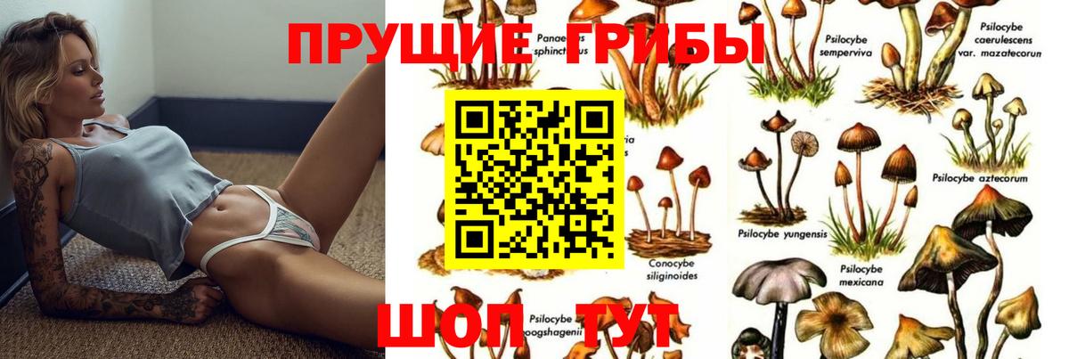 Псилоцибиновые грибы прущие грибы Рязань