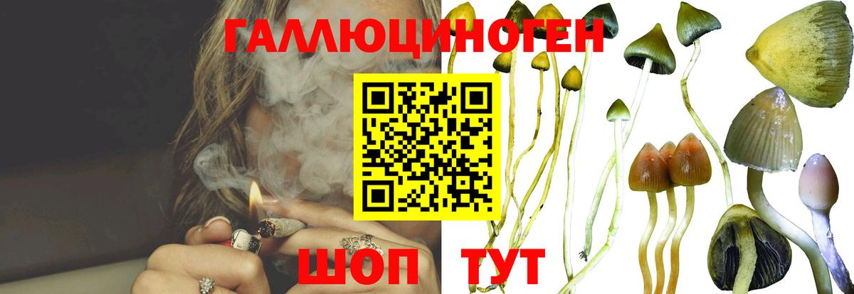 Псилоцибиновые грибы Cubensis  Вход с VPN  Псилоцибиновые грибы Magic Shrooms  Рязань 
